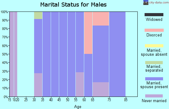 Zip code 56434 marital status for males
