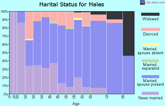 Zip code 56435 marital status for males