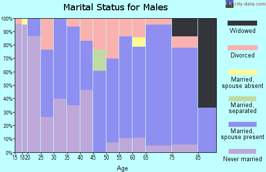Zip code 56437 marital status for males