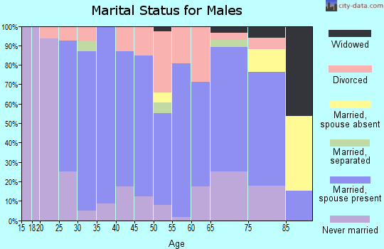 Zip code 56440 marital status for males