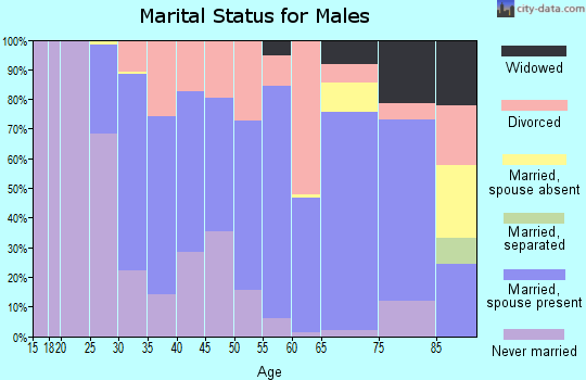 Zip code 56441 marital status for males