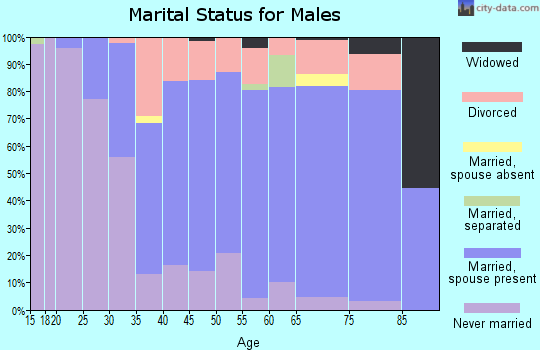 Zip code 56446 marital status for males