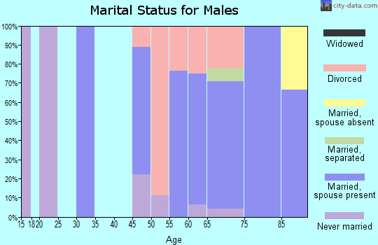 Zip code 56448 marital status for males