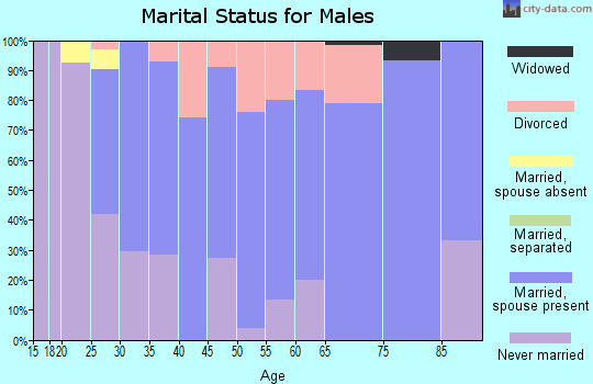 Zip code 56453 marital status for males