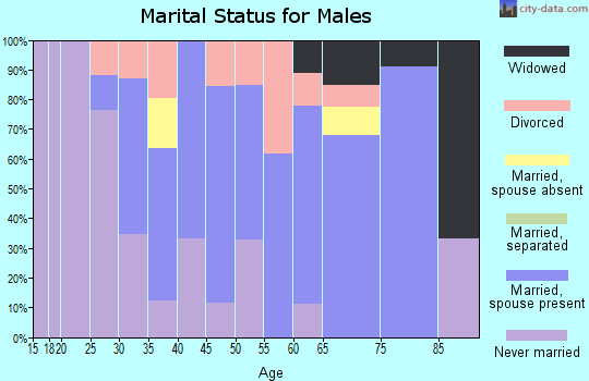 Zip code 56455 marital status for males