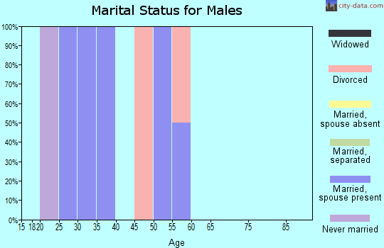 Zip code 56456 marital status for males