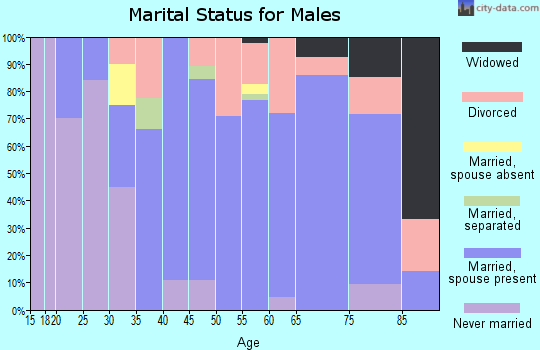 Zip code 56465 marital status for males
