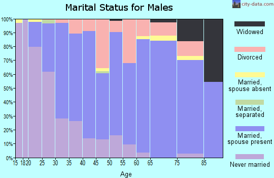 Zip code 56466 marital status for males