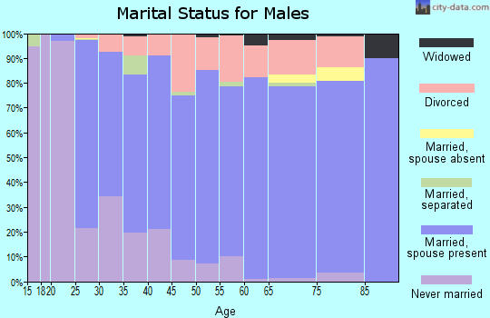Zip code 56472 marital status for males