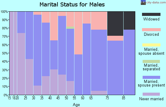 Zip code 56475 marital status for males