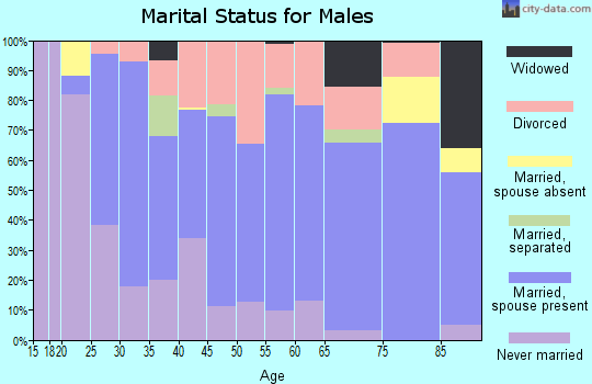 Zip code 56482 marital status for males