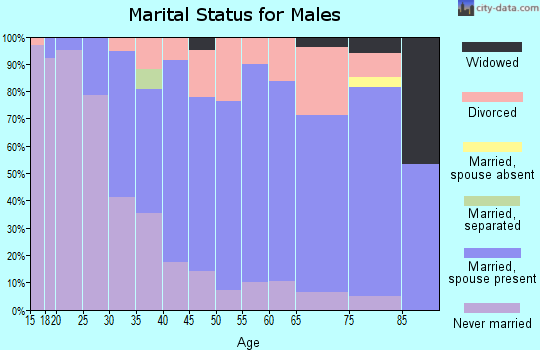 Zip code 56510 marital status for males