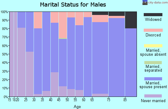 Zip code 56511 marital status for males