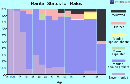 Zip code 56515 marital status for males