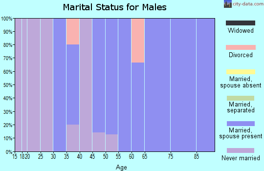 Zip code 56516 marital status for males