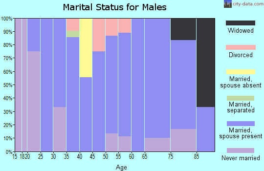 Zip code 56518 marital status for males