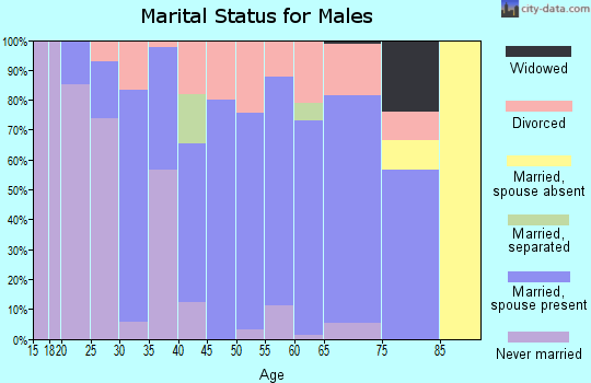 Zip code 56520 marital status for males