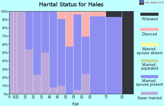 Zip code 56522 marital status for males