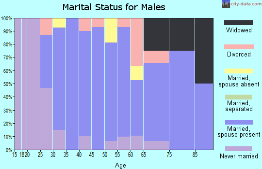Zip code 56523 marital status for males