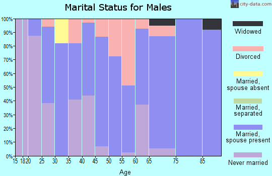 Zip code 56527 marital status for males