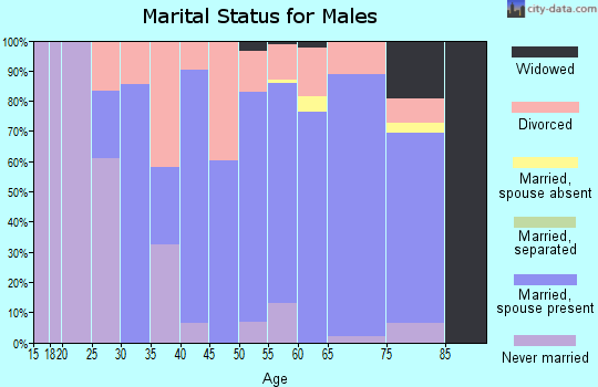 Zip code 56528 marital status for males