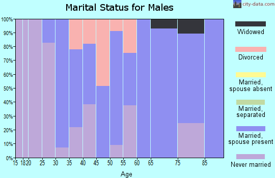 Zip code 56529 marital status for males