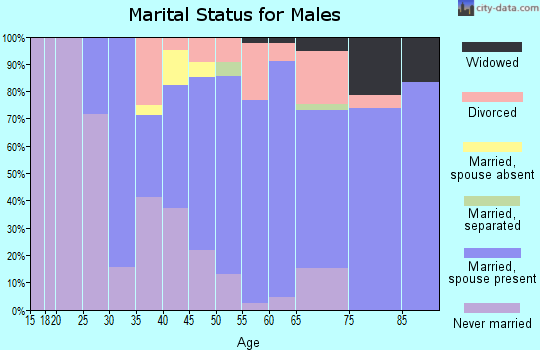 Zip code 56531 marital status for males