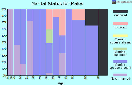 Zip code 56533 marital status for males