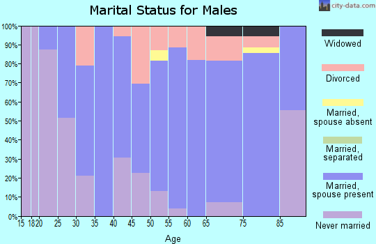 Zip code 56534 marital status for males