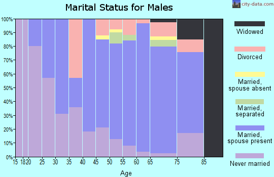 Zip code 56535 marital status for males