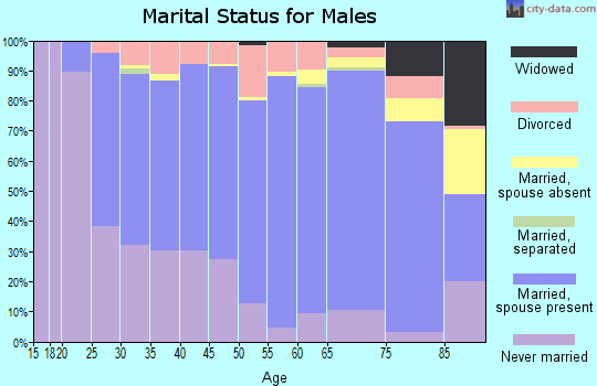 Zip code 56537 marital status for males