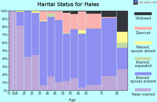 Zip code 56542 marital status for males