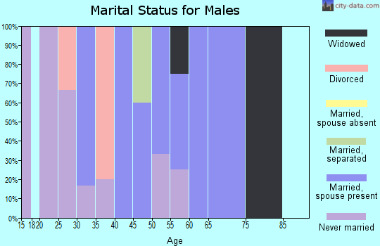 Zip code 56543 marital status for males
