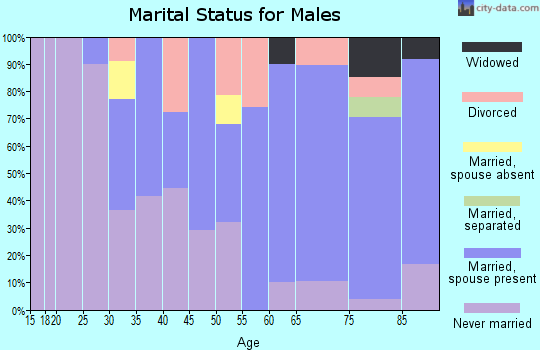 Zip code 56545 marital status for males