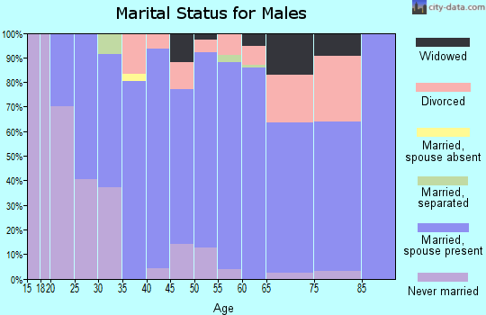 Zip code 56547 marital status for males