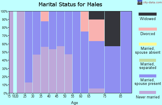 Zip code 56550 marital status for males