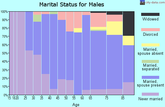 Zip code 56551 marital status for males