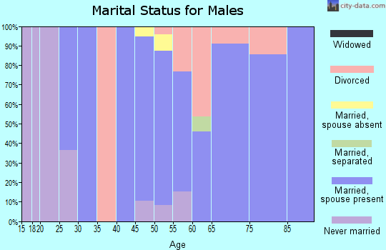 Zip code 56552 marital status for males
