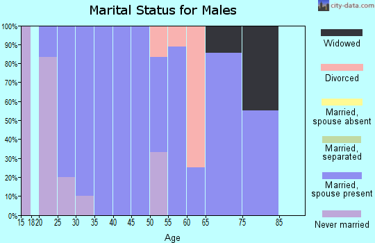 Zip code 56553 marital status for males