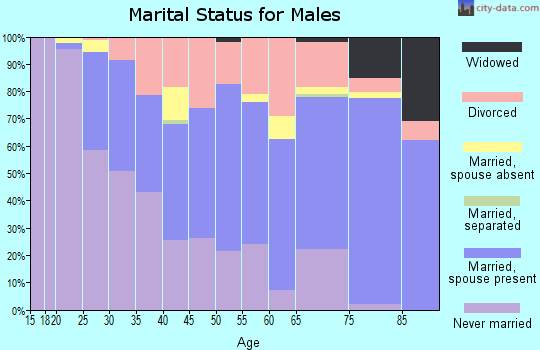 Zip code 56557 marital status for males