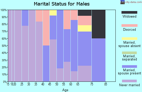 Zip code 56566 marital status for males