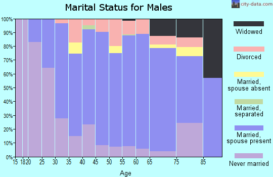 Zip code 56567 marital status for males