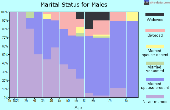 Zip code 56569 marital status for males