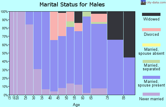 Zip code 56570 marital status for males