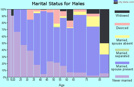 Zip code 56573 marital status for males
