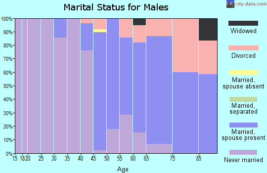 Zip code 56575 marital status for males