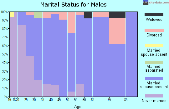 Zip code 56580 marital status for males