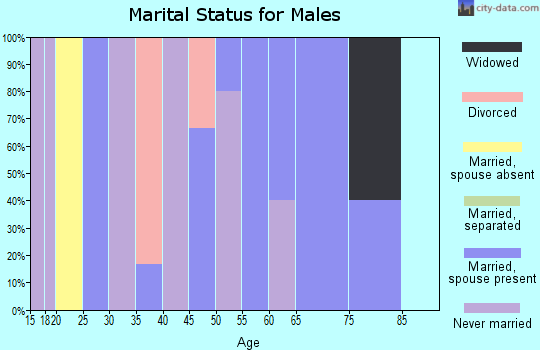 Zip code 56583 marital status for males