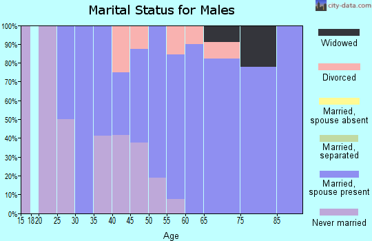 Zip code 56590 marital status for males