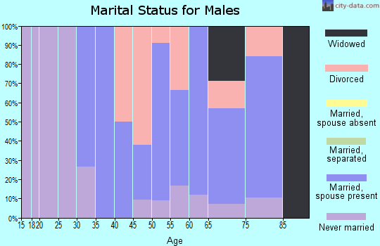 Zip code 56594 marital status for males
